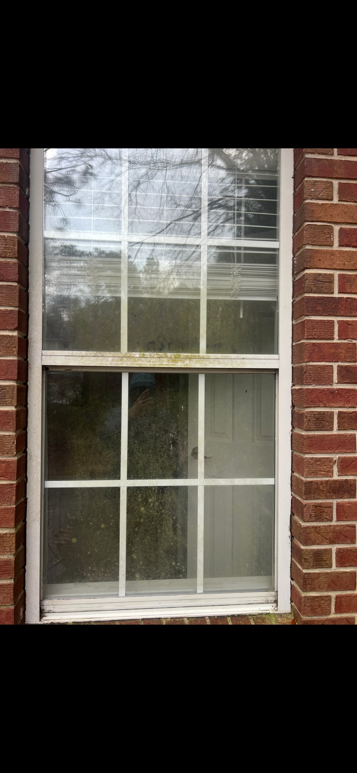 Before window cleaning on exterior glass in Pensacola