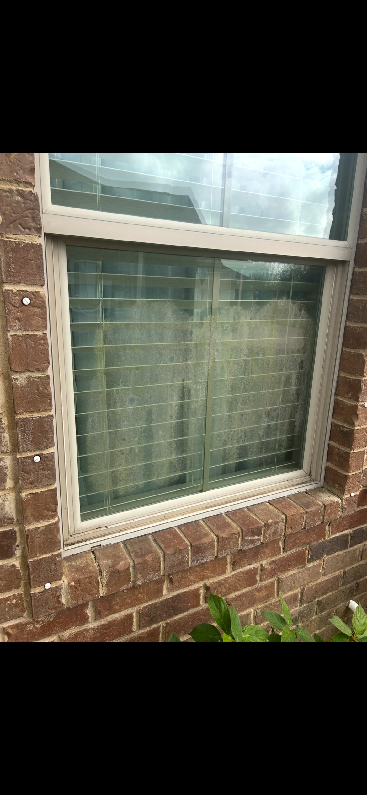 Before window cleaning on exterior glass in Gulf Breeze