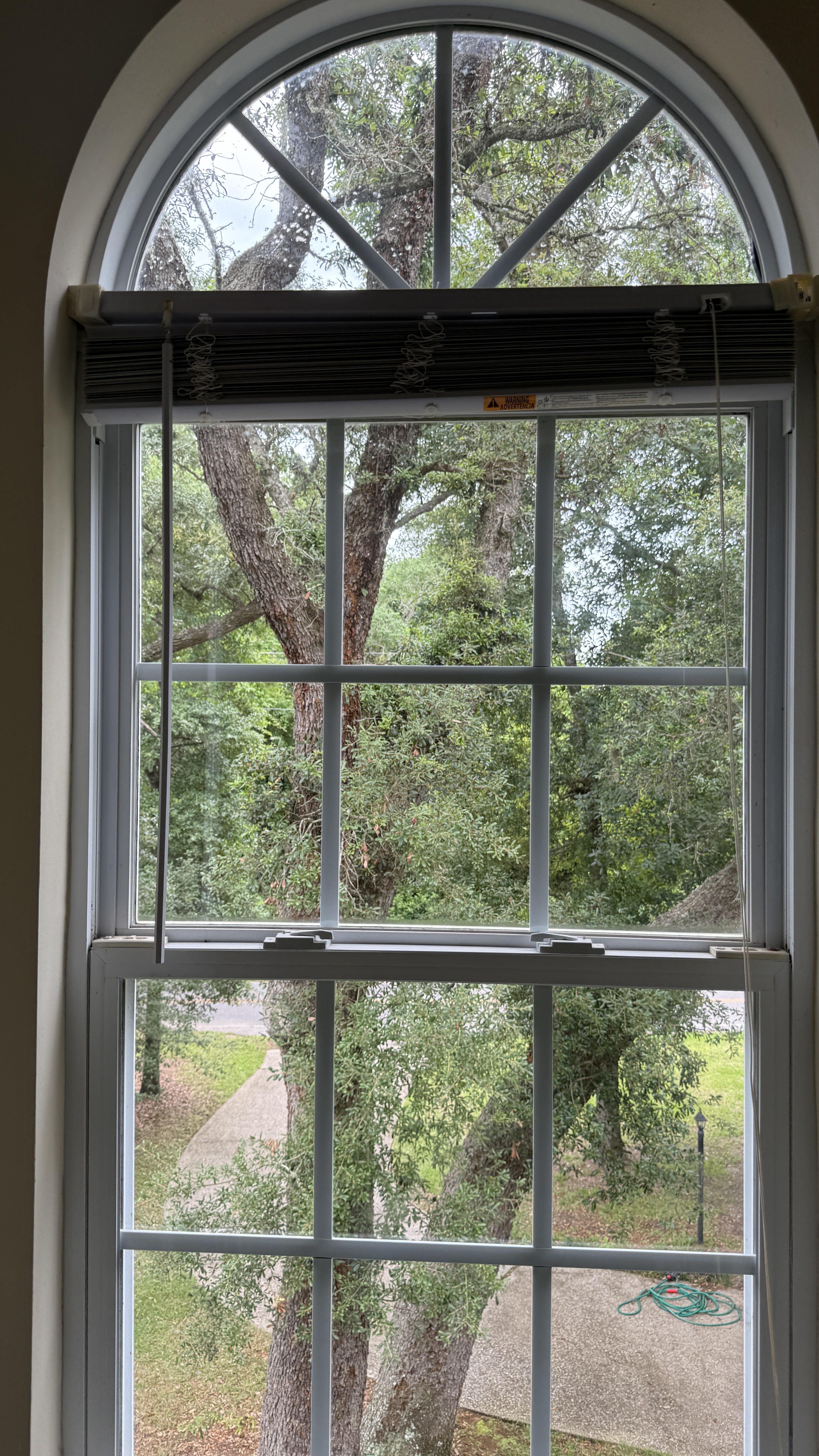 After interior window cleaning with a clearer view through the glass